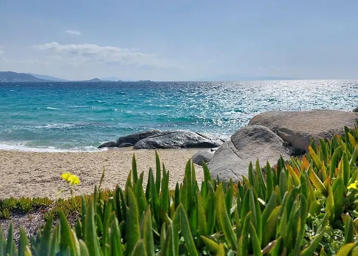 Sea U Soon Seafront Apartamento Stelida (Naxos)